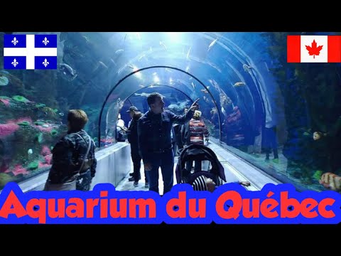 image-Does Quebec have a aquarium?