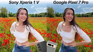 [問題] 1V的相機拍照有比pixel 7 pro好嗎？