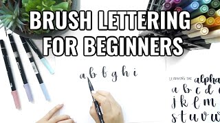 How to Brush Letter for Beginners