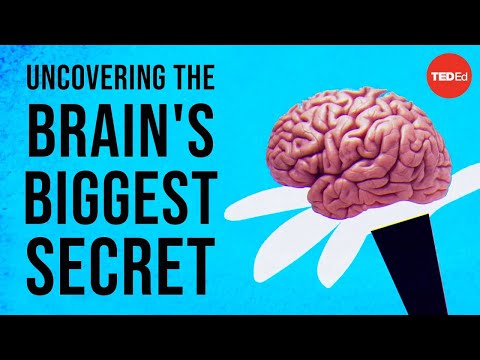 Uncovering The Brain's Biggest Secret