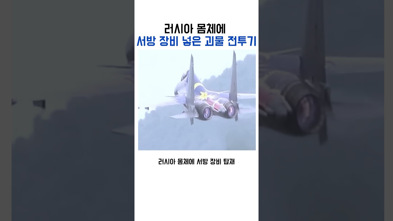 러시아 기체와 서방 장비의 결합