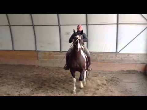 argentino fenomenal - excalibur pre