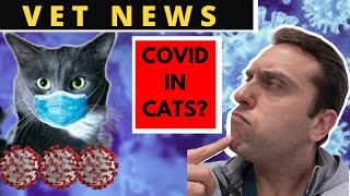 Veterinary News Episode #1
