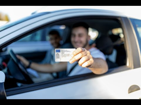 Alien Nauka Jazdy Piotr Michalski - video