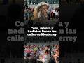Homepage 6 Video thumbnail