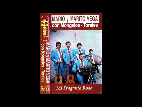 MARIO & MARITO VEGA Con EL DÚO:MONGELOS-TORALES - ''MI FRAGANTE ROSA'' - Selton Producciones
