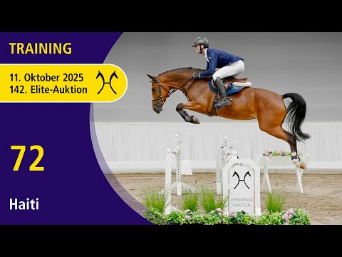 No. 72 Haiti by High Level - Balou Peggio | 142nd Verden Elite Auction, October 11