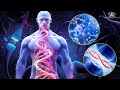 432Hz Super Recovery Healing Frequency Whole Body Regeneration Relieve Stress