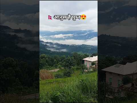 Jam Kyare Udera Mathi Junai Ma | Jaam Kyare Udera #nepal #villagelife #travel #trending