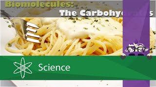 Biomolecules: The Carbohydrates