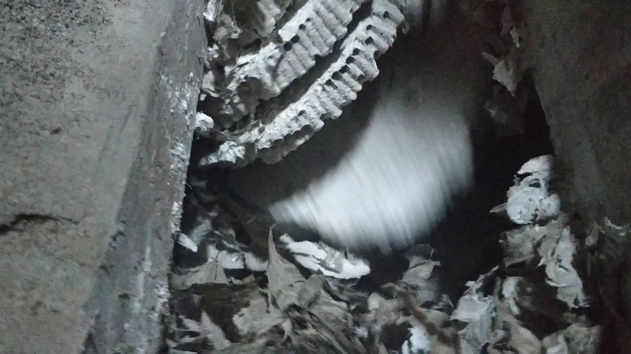 Darázsfészek a mennyezetben thumbnail