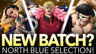 NORTH BLUE SELECTION OVERVIEW! SHOULD YOU PULL? (One Piece Treasure Cruise - Global)