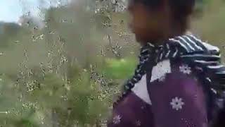 Download lagu Lagu bajawa terbaru 2019/rakat bajawa/viral mp3