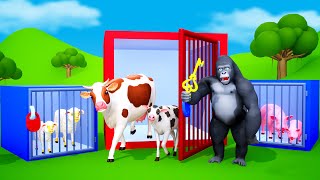 Choose the Right Key - Gorilla vs Fox | Funny Animals Videos 3D Cartoons Games | Cows, Pigs, Goats