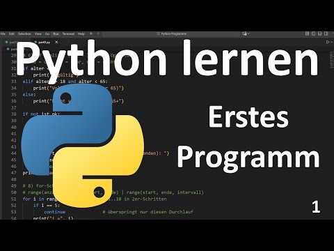 Dein erstes Python-Programm | Python Part 1: Einstieg & Hello World