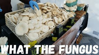 How To Set the Prices For Your Business | What Price Do People Pay For Mushrooms In Your Market
