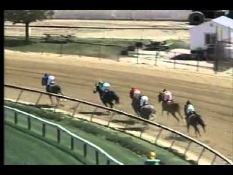 Pimlico 04/20/13 Race 3