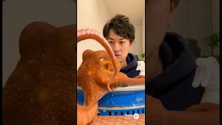 タコに愛された男の末路