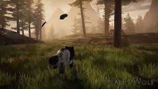 Going for a Run on Sylvanna