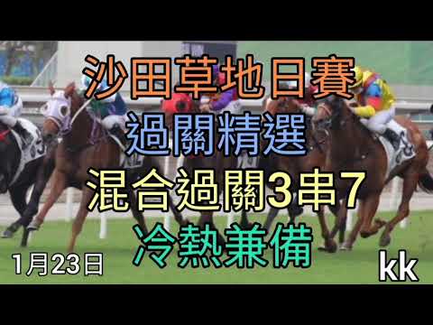賽馬貼士2022年1月23日沙田草地日賽(過關精選)