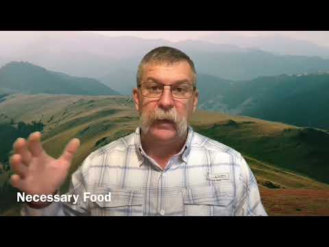 The righteous Branch - Isaiah 11:1-4