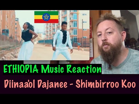 Ethiopia Music Reaction: Diinaa'ol Dajanee - Shimbirroo Koo