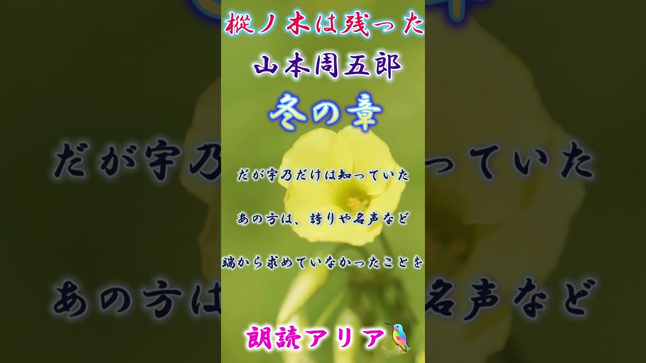 逆臣と呼ばれた男の真実。雪に消えた「究極の忠義」「樅ノ木は残った」山本周五郎｜アリアの案内　#shorts