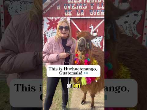 There are llamas in Guatemala! #guate #huehue #huehuetenango #guatemalatravel #travelguatemala