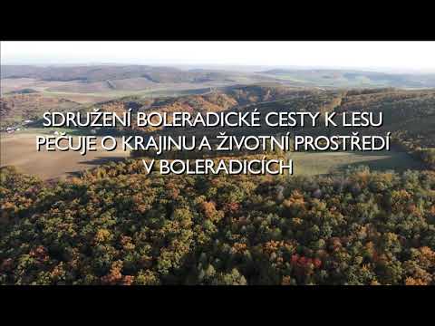 Obnovení zaorané cesty a výsadba stromořadí v Boleradicích