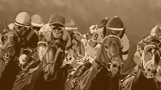 El retinto y el moro