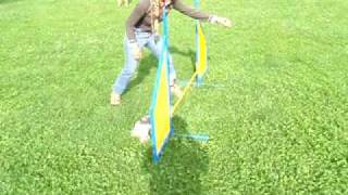 video osmicka video osmicka