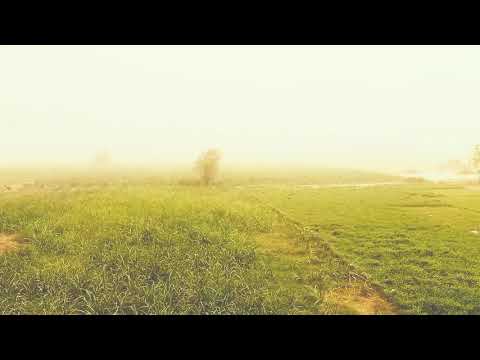 To Day Weather in Mina Chanu