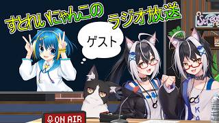 【雑談】不定期ラジオ配信　第13回目【すとねこラジオ】