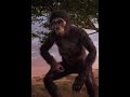 FANTASTIC FUNGI FOR APE 🦧