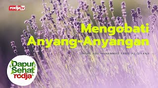 Download lagu Rodja's Healthy Kitchen: Treating Dysuria l Sinshe Abu Muhammad Faris Al Qiyanji mp3