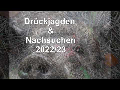 Drückjagden & Nachsuchen 2022/23