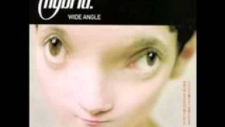 Hybrid - If I Survive