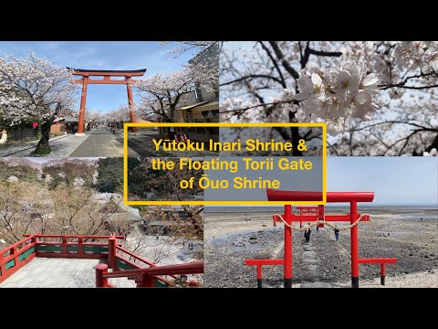 Yūtoku Inari Shrine & Ōuo Shrine – Two Must-See Spots in Saga, Japan