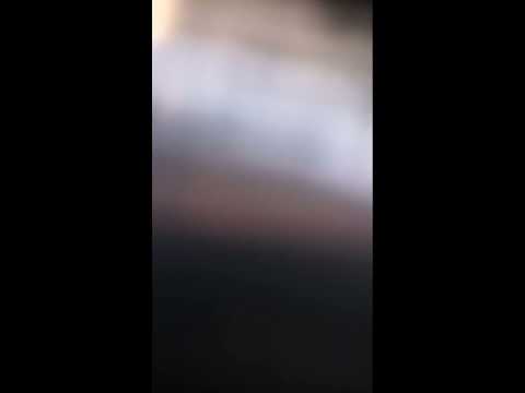 Animal Birds world 🌎, Bannerghatta zoo # zoo # birds # animals #safari #LekhaJesh.