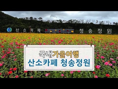 [온통청송] 청송 청송정원