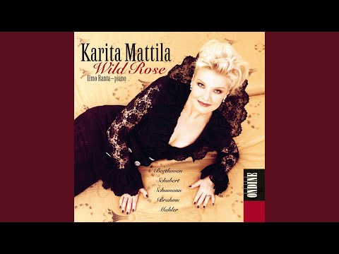 7 Lieder, Op. 48: No. 1. Der Gang zum Liebchen