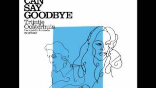 Trijntje Oosterhuis - I Just Can&#39;t Stop Loving You.wmv