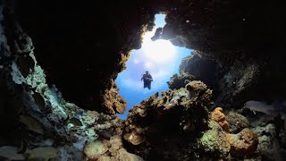 Just another reason why I ❤️ Cruising on Royal Caribbean 🚢