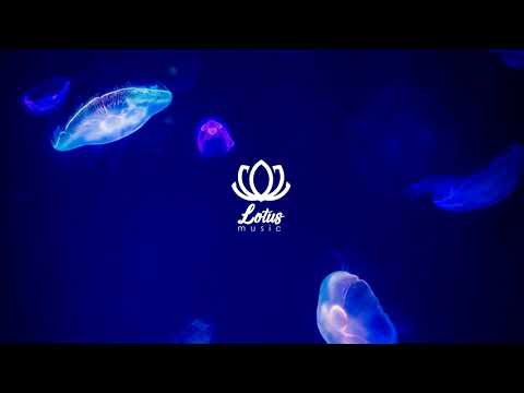 Omaure ft. Jinsang - Grapefruit