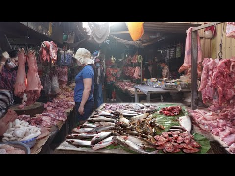 Morning Food Market At hsar Prek Leap - Walking Around Preak Leap Food Market @ Chroy Changva