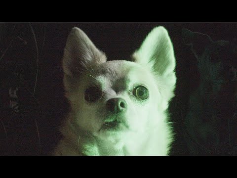 CueStack - Monster (Official Music Video)