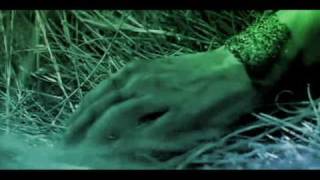 Shadows Fall - Picture Perfect (Unofficial Clip)