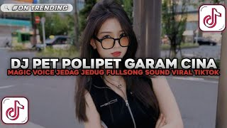 Download lagu DJ PET POLIPET GARAM CINA X MAGIC VOICE VIRAL TIKTOK TERBARU 2025 YG KALIAN CARI! mp3
