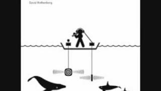 David Rothenberg - Whale Music