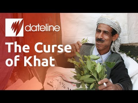 Khat: Yemen's Addictive Narcotic Chewing Leaf